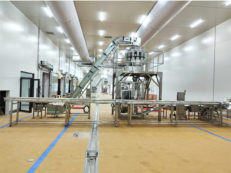 màquina automàtica d'envasar aliments forzens